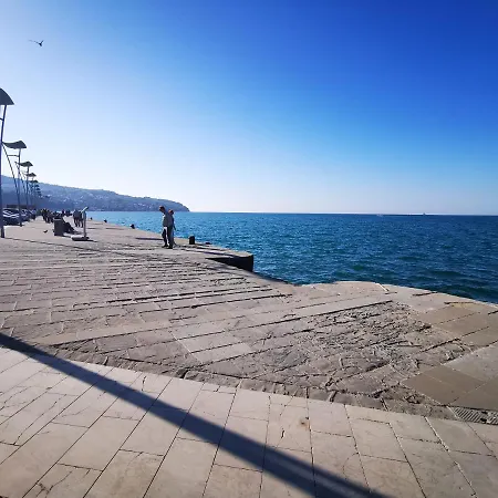 Tian * Koper